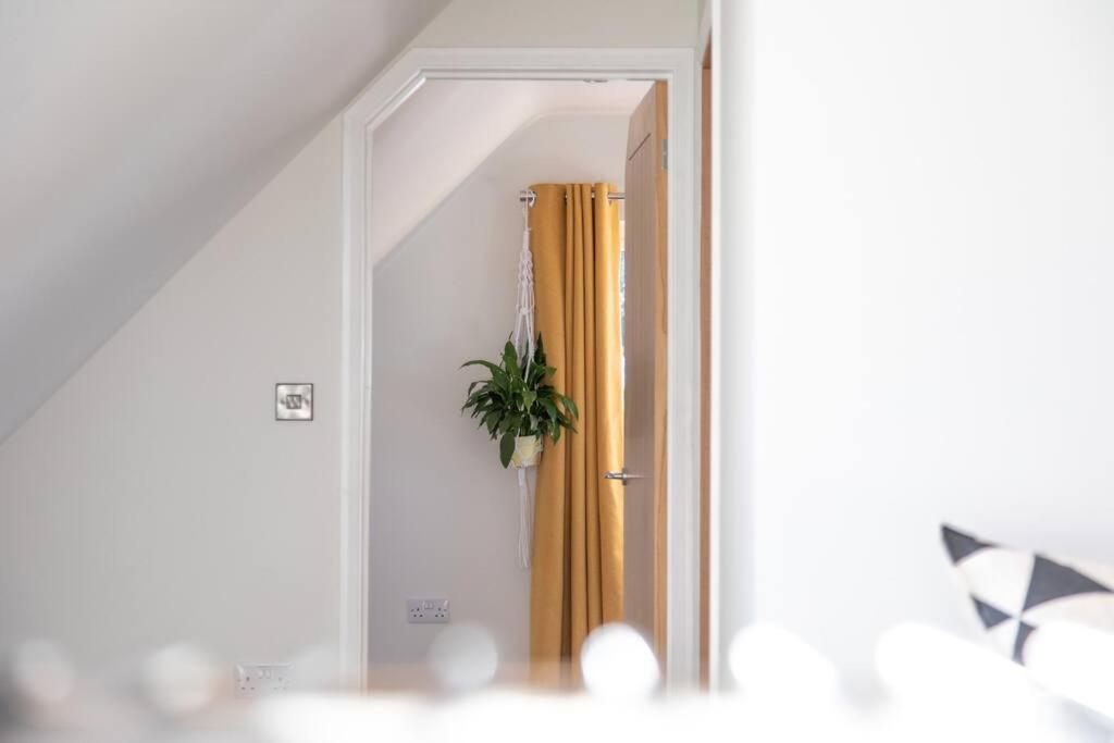 The Roost - A Bird'S Eye View In The Countryside Apartment Cullompton Ngoại thất bức ảnh